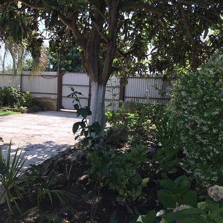 Guest House Evkalipt Ochamchira Εξωτερικό φωτογραφία