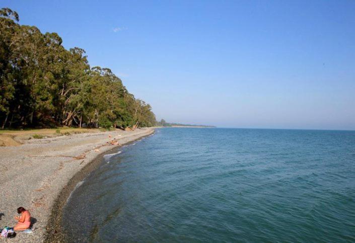 Guest House Evkalipt Ochamchira Εξωτερικό φωτογραφία